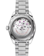 Seamaster Aqua Terra 41mm